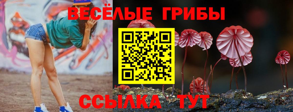 Урус-Мартан  Галлюциногенные грибы прущие грибы  Вход с VPN 